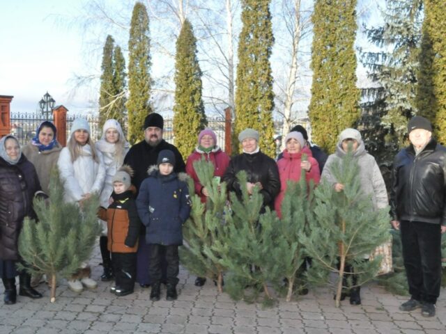 Рождественская елочка в каждый дом